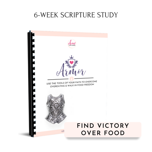 Armor [A Chew the Word Study] Spiral Bound
