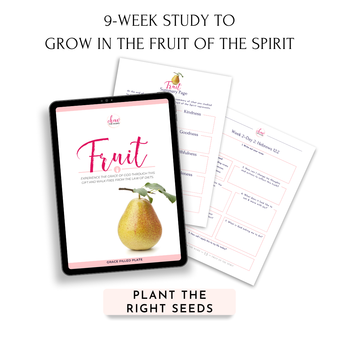 Armor + Fruit Bible Study Bundle